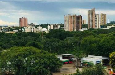 Apartamento compartilhado comigo mais 2 felinos - Foto 3