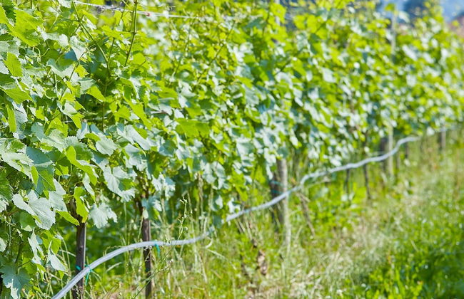 Palazzo Dei Laghi by Elite Villas - Photo 46