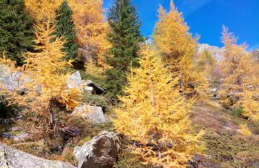 Pension & Appartament Anna - Foto 30