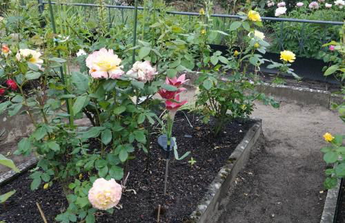 Gästehaus am Teich - Foto 4