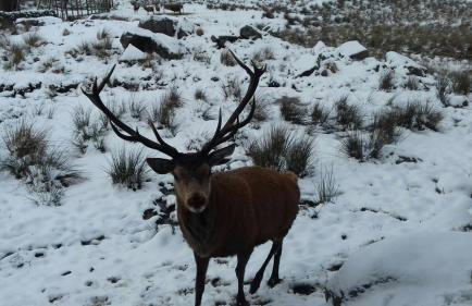 The Toll House - Photo 39