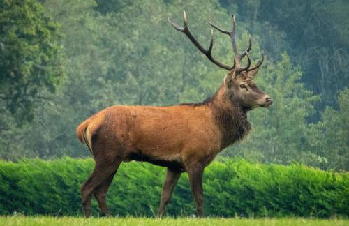 Henrow House Lymington 4 Bed Detached Home with Hot Tub - Foto 52