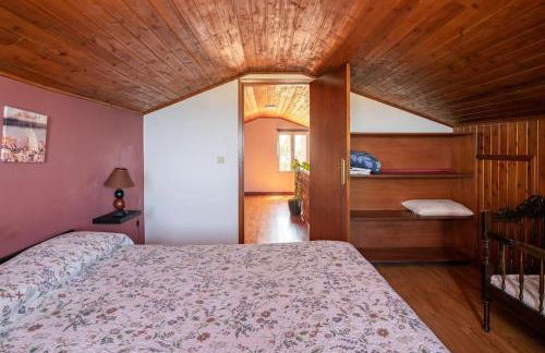 Country House in Azores - S. Miguel - Photo 30