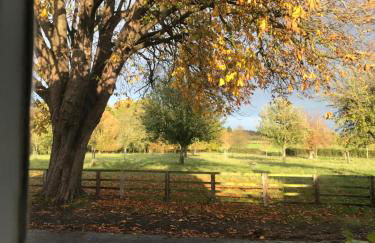 Four Seasons Cottage - in the Cotswolds - Foto 37