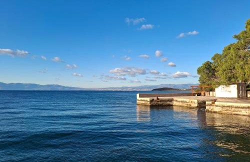 APARTMAN IVONA U PRIZEMLJU - Foto 31