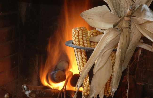 Agriturismo near Cortona with Spacious Garden & Swimming Pool - Foto 28