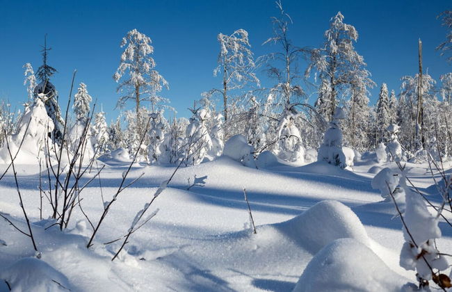 Hittenpichl "st. Christoph" - Foto 14