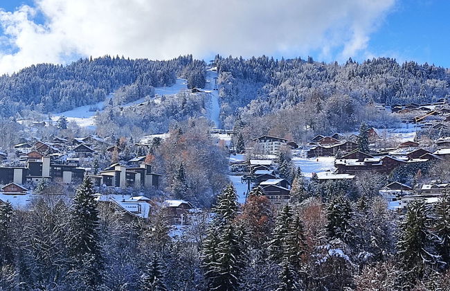 Le Grand Panorama 412 - Foto 29