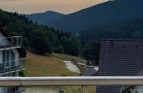 SleepWell Apartments Czarna Góra - Foto 13