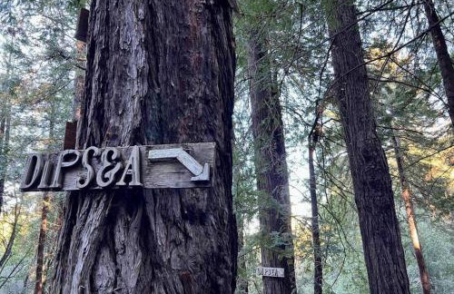 Window to the Redwoods - Near Downtown MV, Dipsea Trail, & Muir Woods - Foto 25