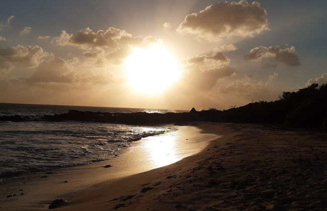 Marco Polo - Photo 29