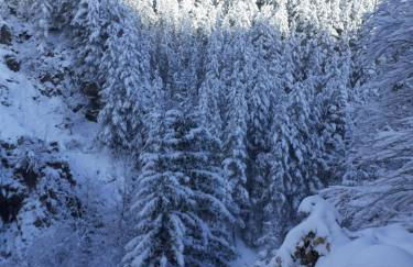 LA CASETTA DELLA NONNA - Photo 54