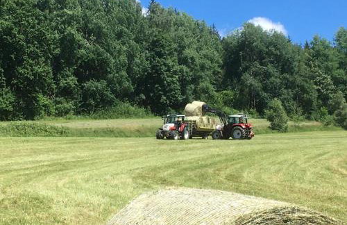 Biohof Weiderer - Foto 14