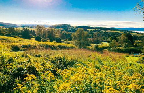 Hamden Hill House - Foto 19