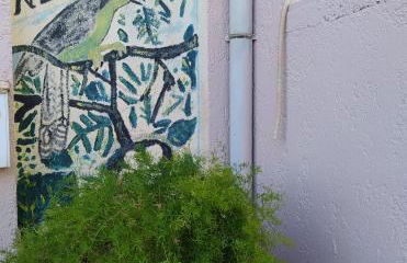 Cuckoo's nest - Photo 22