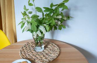 Wikno 3 Woda i Las - Foto 31