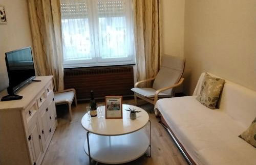 Ferien und Monteur Wohnung Bildchenstrasse - Foto 7