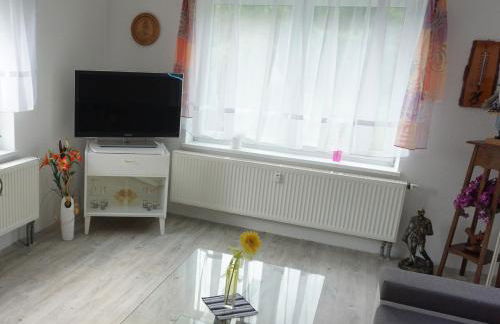 Am Sachsenstein - Zum Skispringer - Foto 8