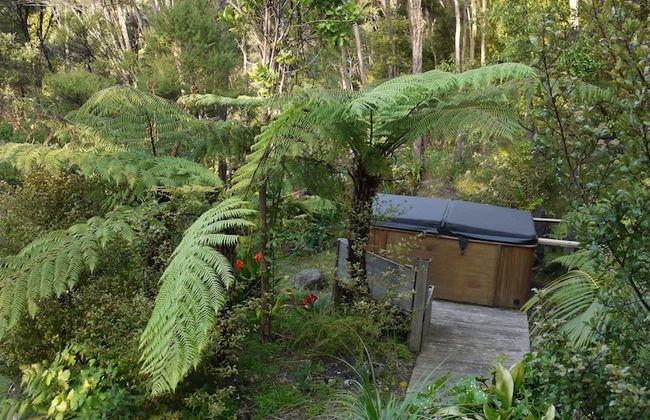 Bay of Islands Holiday Apartments - Foto 49