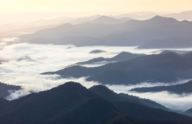 Yaraandoo Apartment - Foto 9