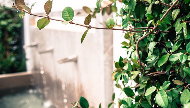 Apartamentos Campo Del Principe - Foto 4