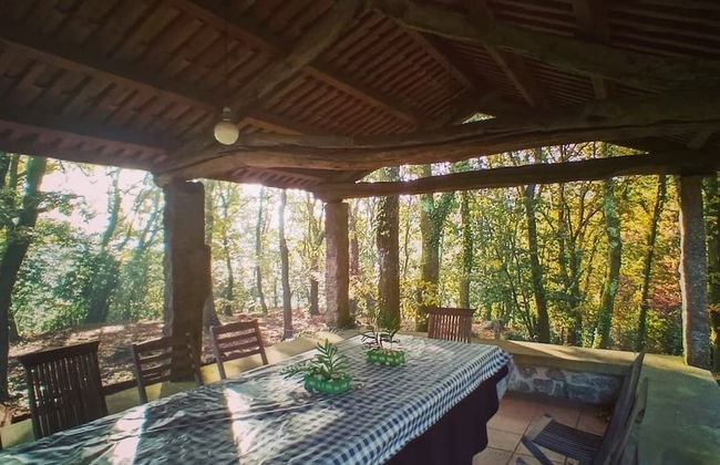 Casa da Urcela - Photo 12