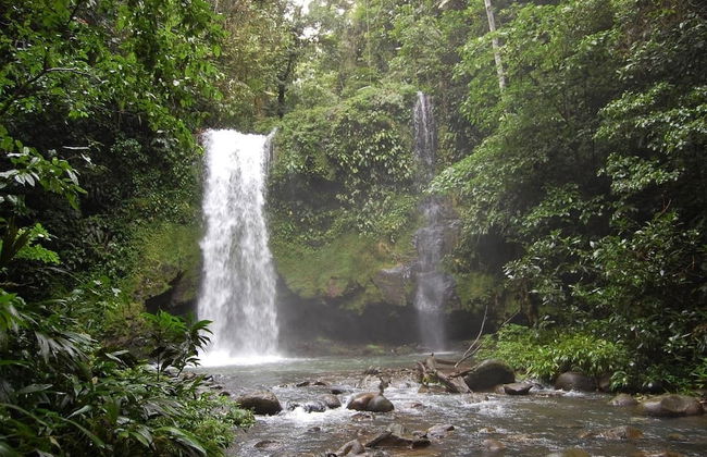 Villas María Luisa Lodge - Photo 58
