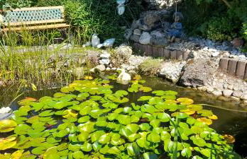 Haus Roßner - Foto 46