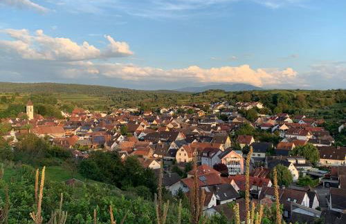 Ferienwohnung Luna -3 Schlafzimmer, Waschmaschine, Küche, WLAN, ca 15 Min bis zum Europa Park, - Foto 43