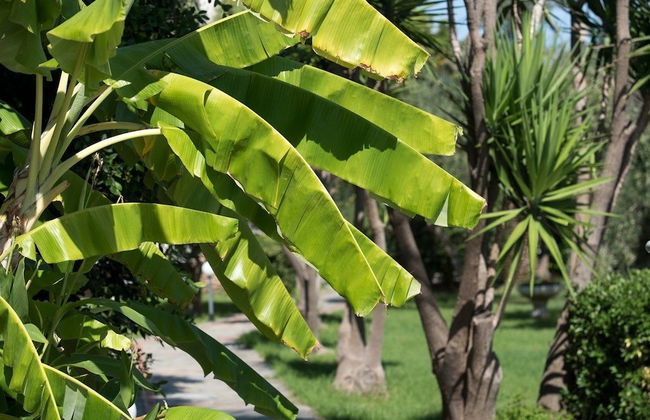 Proimos Apartments - Foto 43