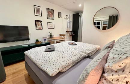 Modernes Doppelzimmer mit Bad & AC in Kehl Goldscheuer - 1A Guesthouse - Foto 3