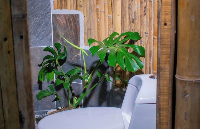 Magic View Guatape - Photo 8