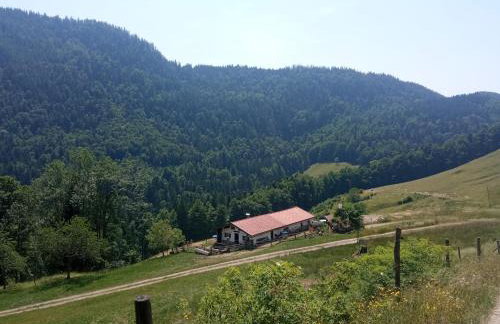 Ferienwohnung Weitblick Grassau - Photo 44