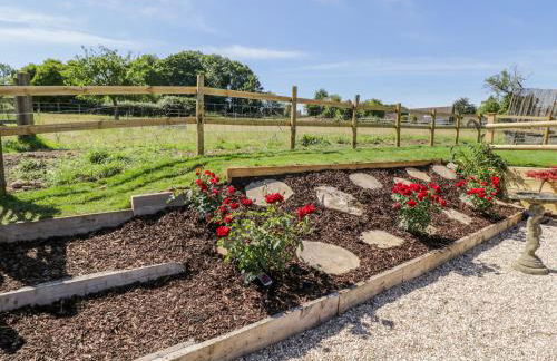 Puddleducks - Foto 17