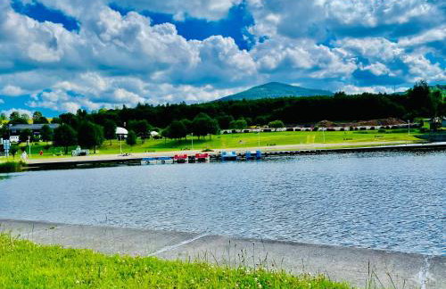 GÓRSKA CISZA - Duży, komfortowy, wyjątkowy Apartament - Foto 69