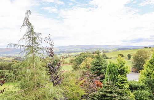 Hilltop Lodge - Photo 24