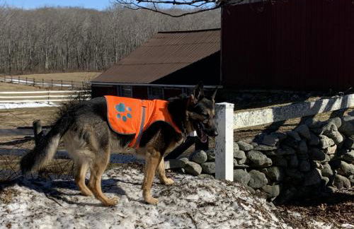 Cozy Bungalow Just Minutes from Mystic, Westerly Beaches, Boating and Casinos! bungalow - Foto 43