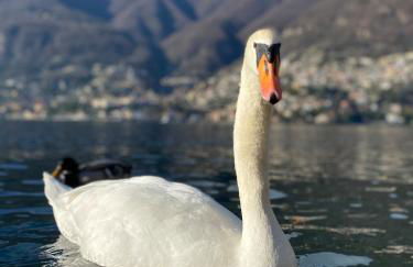 Unique Romantic Cave with air conditioner - Foto 34