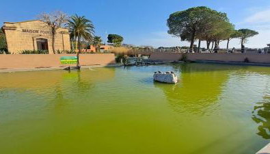 Rêves bleus, T2 proche plage des sablettes, Clim, Wifi, Place de parking - Foto 3