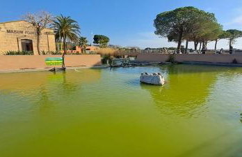 Rêves bleus, T2 proche plage des sablettes, Clim, Wifi, Place de parking - Foto 3