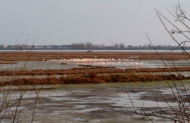 Agriturismo La Barena - Foto 58