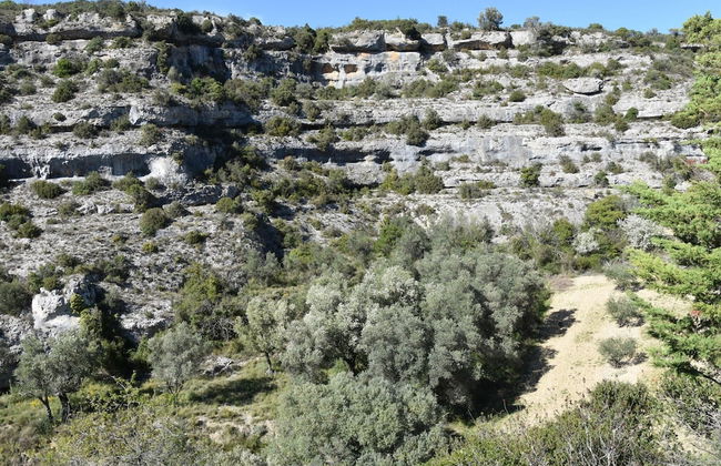 Cosy Holiday Home in Minerve With Garden - Foto 40