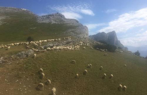 La haut, dans les montagnes ... - Foto 31