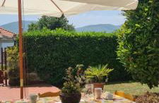 La Magnolia - Foto 1