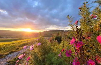 Ferienwohnung Bayerwaldblick - Foto 78