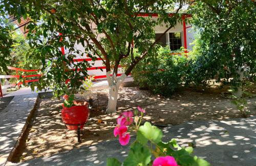 CottonClub Villas - Foto 1