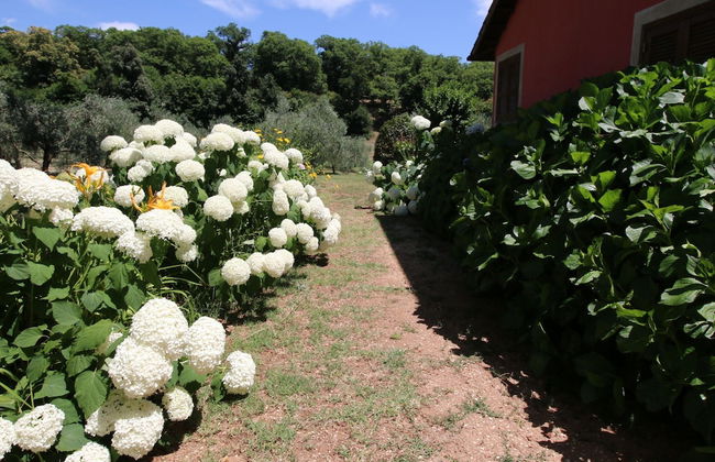 Villa Near Lake Bracciano With Pool - Foto 26