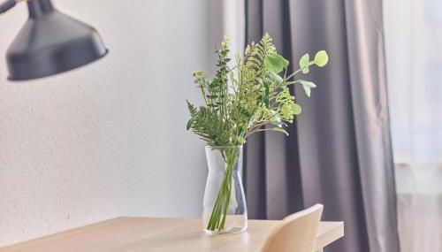 Ida - Ankommen, wohlfühlen, arbeiten 3 Zimmer 5 Betten - Foto 4