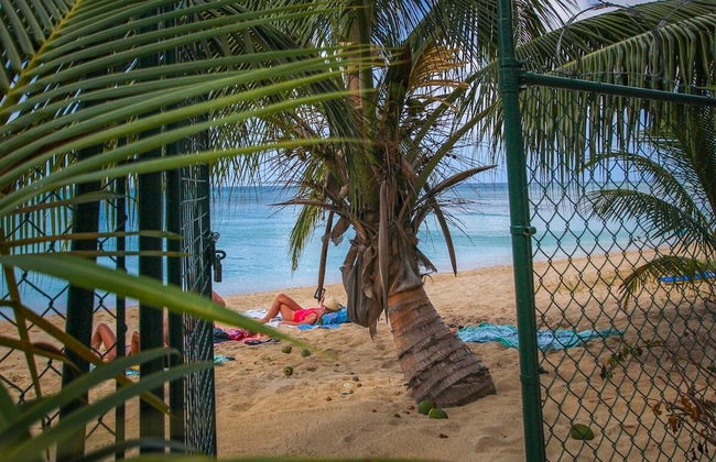 Chateau Monique by Bluescape - Foto 35