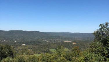 Harper Tree Top - Foto 4